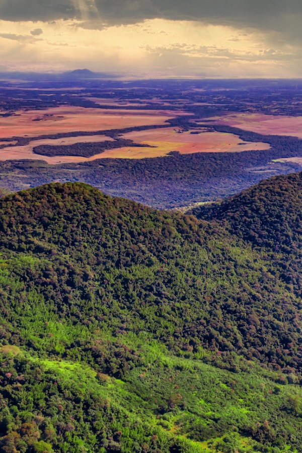 Cruise Brothers Travel Agent Brandon Pearce